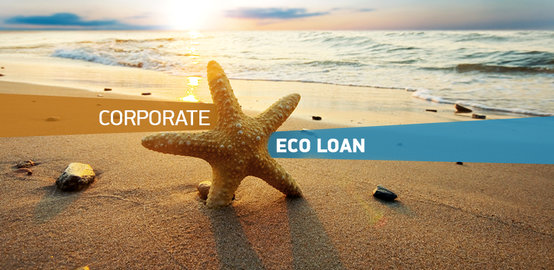 Corporate Eco Loan